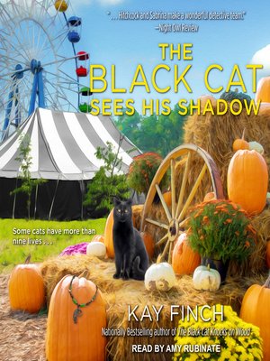 cover image of The Black Cat Sees His Shadow